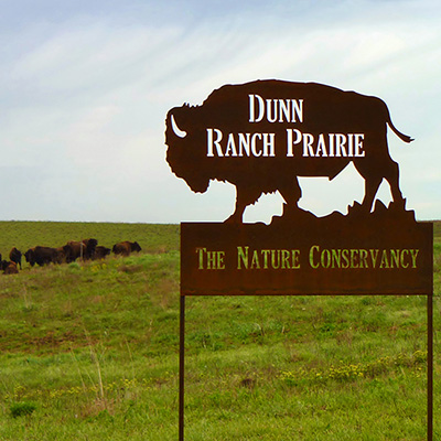 Featured image for “Dunn Ranch Prairie”