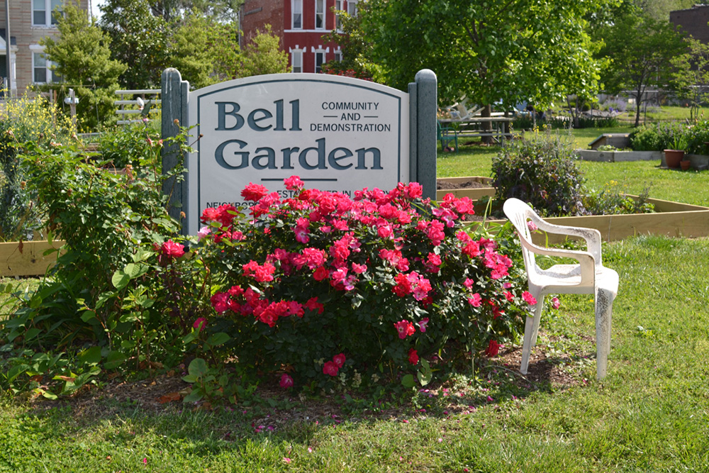 Featured image for “Bell Demonstration Garden”
